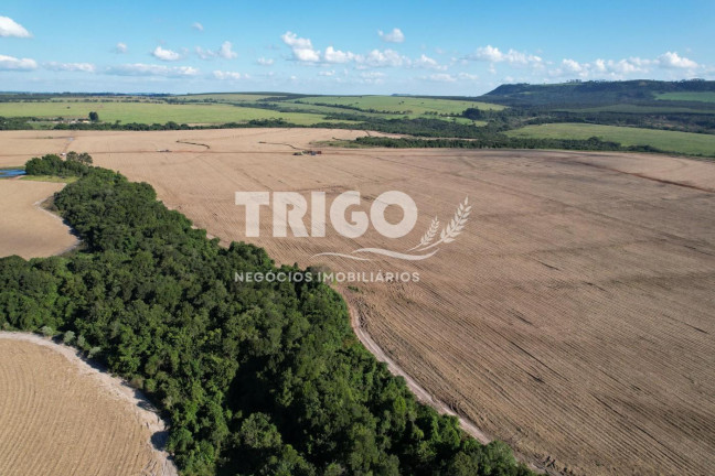 Imagem Fazenda à Venda, 90 m² em Zona Rural - Santa Rosa De Viterbo Imagem Fazenda à Venda, 90 m² em Zona Rural - Santa Rosa De Viterbo