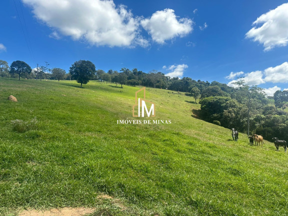 Imóvel com 1 Quarto à Venda, 120.000 m² em Zona Rural - Crucilândia