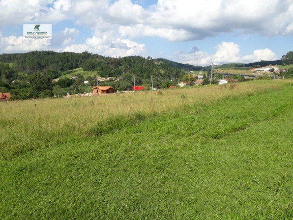 Imagem Terreno à Venda, 4.400 m² em Sorocamirim - São Roque