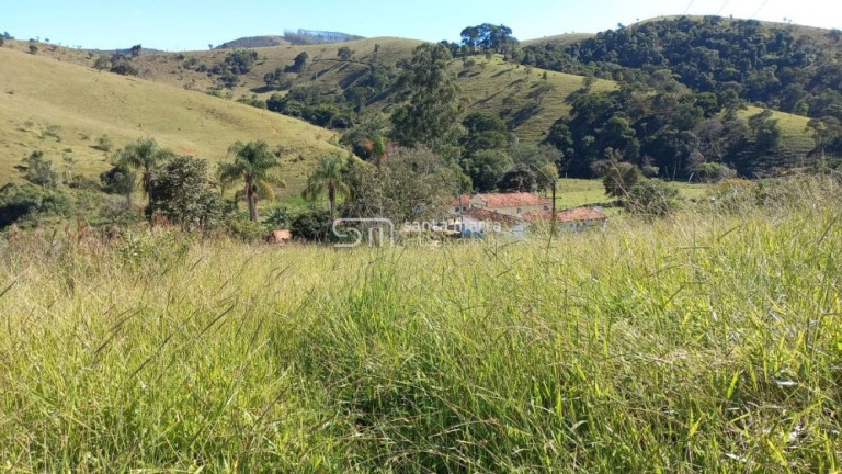 Imóvel com 1 Quarto à Venda, 290.400 m² em Sertão Velho - Lorena