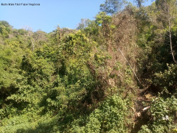 Imagem Terreno à Venda, 2 m² em Linha Temerária - Nova Petrópolis