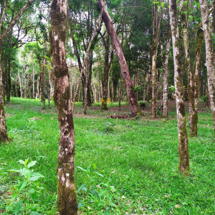Chácara à Venda, 7.000 m² em Recreio Da Serra - Piraquara