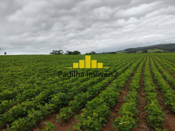 Imagem Chácara à Venda, 20 m² em Pilar Do Sul
