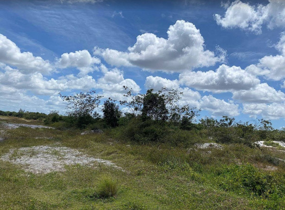 Imagem Terreno à Venda, 1.000 m² em Popular - Santa Rita Imagem Terreno à Venda, 1.000 m² em Popular - Santa Rita
