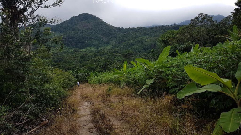 Imagem Fazenda à Venda, 840.000 m² em Mazomba - Itaguaí Imagem Fazenda à Venda, 840.000 m² em Mazomba - Itaguaí