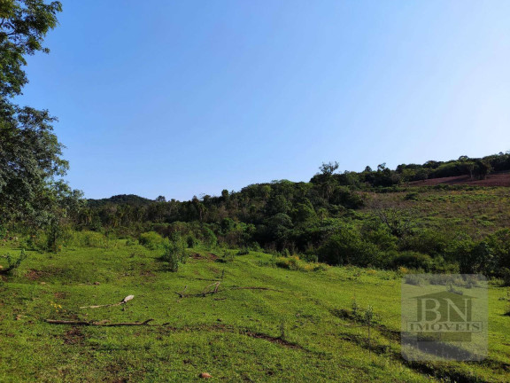 Imagem Imóvel à Venda, 125.895 m² em Aliança - Santa Cruz Do Sul Imagem Imóvel à Venda, 125.895 m² em Aliança - Santa Cruz Do Sul