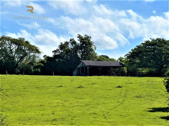 Imagem Chácara à Venda, 140.000 m² em Morungava - Gravataí Imagem Chácara à Venda, 140.000 m² em Morungava - Gravataí