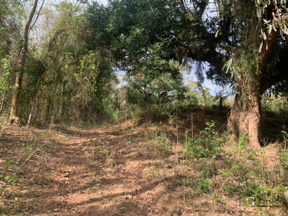 Imagem Chácara com 4 Quartos à Venda, 110 m² em Pedregulho - São João Da Boa Vista Imagem Chácara com 4 Quartos à Venda, 110 m² em Pedregulho - São João Da Boa Vista