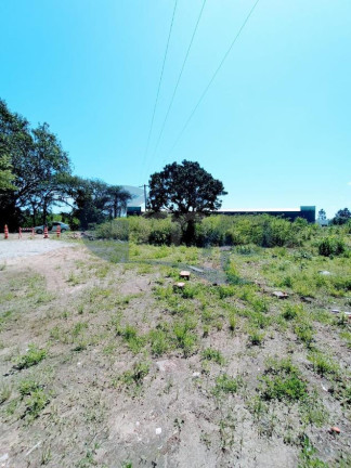 Imagem Chácara à Venda, 4.800 m² em Curralinhos - Passo De Torres Imagem Chácara à Venda, 4.800 m² em Curralinhos - Passo De Torres