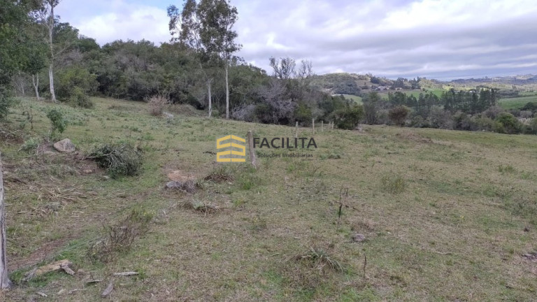 Imagem Imóvel com 4 Quartos à Venda, 90.000 m² em Cascata - Pelotas Imagem Imóvel com 4 Quartos à Venda, 90.000 m² em Cascata - Pelotas