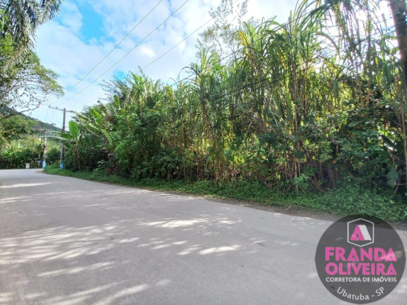 Terreno à Venda, 670 m² em Itamambuca - Ubatuba