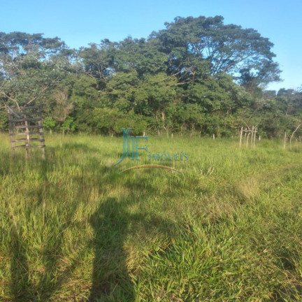 Imagem Imóvel com 4 Quartos à Venda, 105.000 m² em Centro - Cajuru