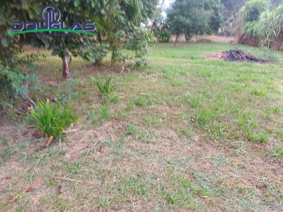 Imagem Chácara à Venda, 20.000 m² em Viamão Imagem Chácara à Venda, 20.000 m² em Viamão