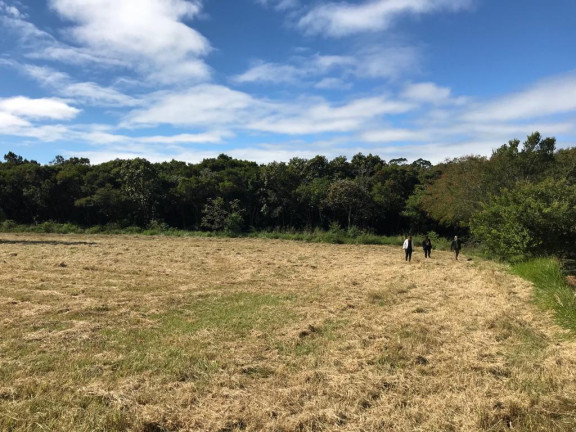 Imagem Terreno à Venda, 19.946 m² em Centro - Terra De Areia Imagem Terreno à Venda, 19.946 m² em Centro - Terra De Areia