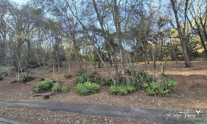 Imagem Terreno à Venda, 5.125 m² em Residencial Aldeia Do Vale - Goiânia Imagem Terreno à Venda, 5.125 m² em Residencial Aldeia Do Vale - Goiânia