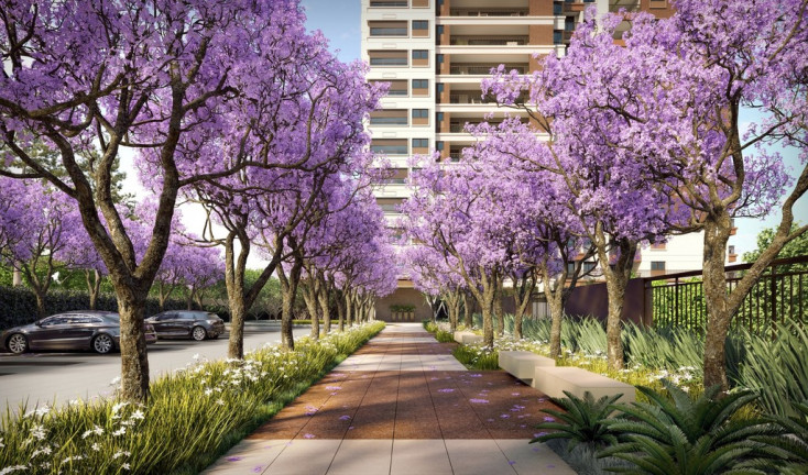 Imagem Apartamento com 4 Quartos à Venda, 228 m² em Alphaville Empresarial - Barueri