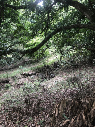 Imagem Terreno à Venda, 1.200 m² em Campo Grande - Rio De Janeiro Imagem Terreno à Venda, 1.200 m² em Campo Grande - Rio De Janeiro