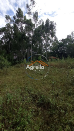 Imagem Imóvel com 3 Quartos à Venda, 25.000 m² em Jardim Primavera - Mogi Mirim Imagem Imóvel com 3 Quartos à Venda, 25.000 m² em Jardim Primavera - Mogi Mirim