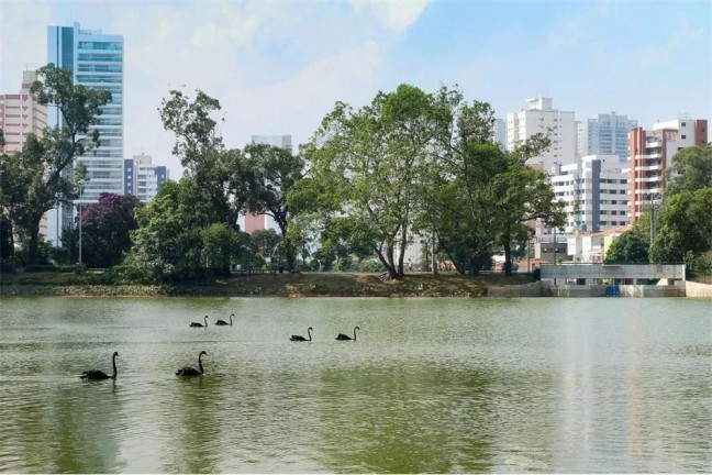 Imagem Apartamento com 3 Quartos à Venda, 162 m² em Aclimação - São Paulo