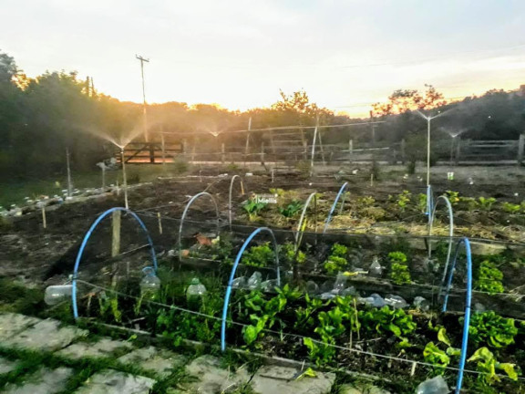 Imagem Imóvel à Venda, 20 m² em Sitio São José - Viamão Imagem Imóvel à Venda, 20 m² em Sitio São José - Viamão