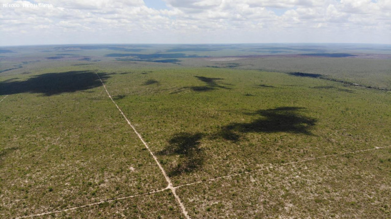 Imagem Fazenda à Venda, 14.000 m² em Rural - Cocos