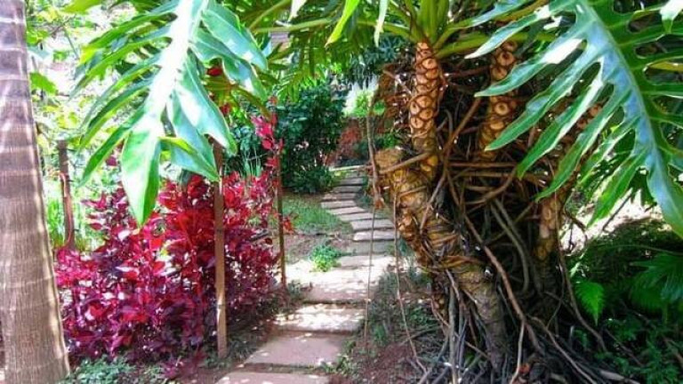 Imagem Chácara com 2 Quartos à Venda, 150 m² em Portão - Atibaia Imagem Chácara com 2 Quartos à Venda, 150 m² em Portão - Atibaia