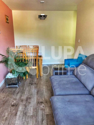 Imagem Apartamento com 2 Quartos à Venda, 57 m² em Chácara Belenzinho - São Paulo Imagem Apartamento com 2 Quartos à Venda, 57 m² em Chácara Belenzinho - São Paulo
