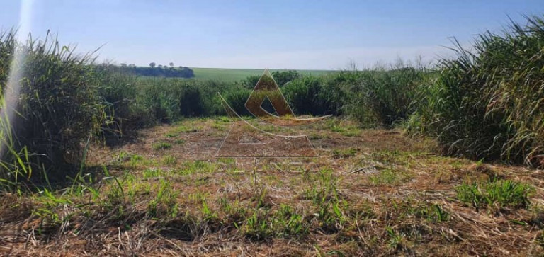 Terreno à Venda, 160 m² em Reserva Macaúba - Ribeirão Preto