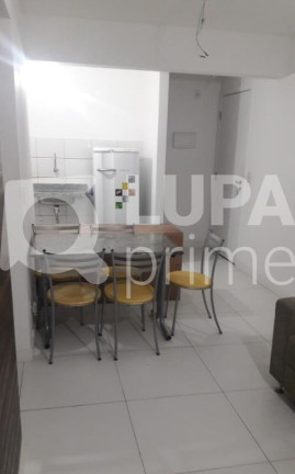Imagem Apartamento com 2 Quartos à Venda, 48 m² em Jardim Iracema - São Paulo Imagem Apartamento com 2 Quartos à Venda, 48 m² em Jardim Iracema - São Paulo