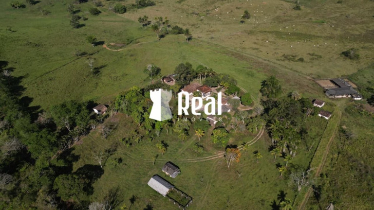 Imagem Fazenda à Venda, 1.300.000 m² em Centro - Mata De São João Imagem Fazenda à Venda, 1.300.000 m² em Centro - Mata De São João
