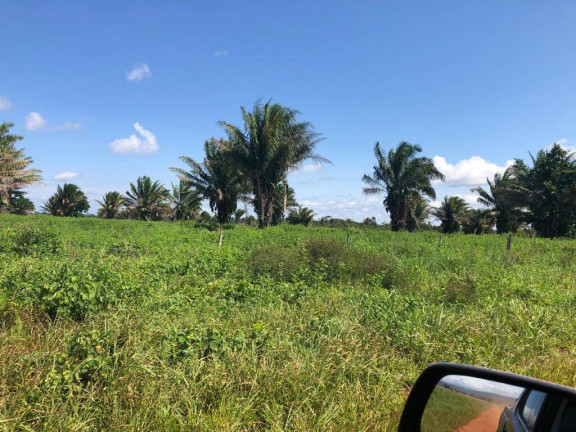 Imagem Fazenda à Venda, 15.000 m² em Mato Grosso Imagem Fazenda à Venda, 15.000 m² em Mato Grosso