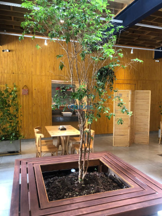 Imagem Imóvel à Venda, 660 m² em Santo Amaro - São Paulo Imagem Imóvel à Venda, 660 m² em Santo Amaro - São Paulo