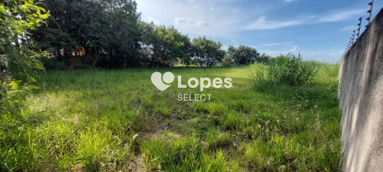 Imagem Terreno à Venda, 1.000 m² em Vila Omízollo - Louveira