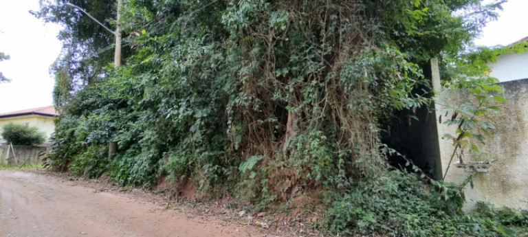 Imagem Terreno à Venda, 2.288 m² em Jardim Colibri - Cotia Imagem Terreno à Venda, 2.288 m² em Jardim Colibri - Cotia