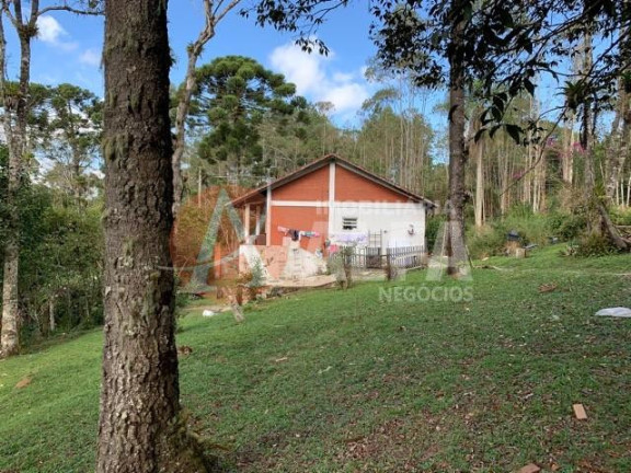 Imagem Casa com 4 Quartos à Venda, 40.000 m² em Loteamento Vale Florido - Embu Guaçu Imagem Casa com 4 Quartos à Venda, 40.000 m² em Loteamento Vale Florido - Embu Guaçu