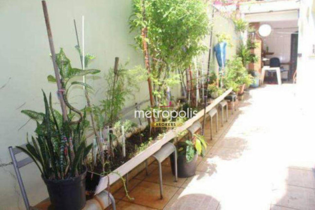 Imagem Sobrado com 3 Quartos à Venda, 312 m² em Mauá - São Caetano Do Sul Imagem Sobrado com 3 Quartos à Venda, 312 m² em Mauá - São Caetano Do Sul