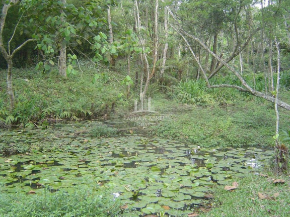 Imagem Fazenda à Venda, 717 m² em Tanque Caio - Ribeirão Pires Imagem Fazenda à Venda, 717 m² em Tanque Caio - Ribeirão Pires