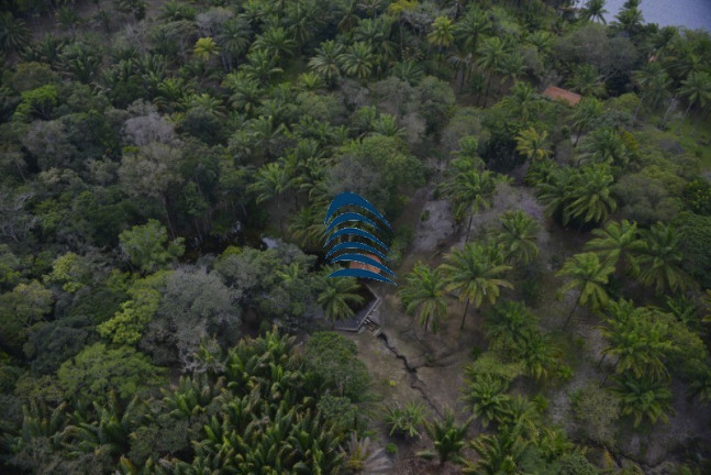 Imagem Imóvel com 4 Quartos à Venda, 1.000 m² em Barroquinha - Taperoá