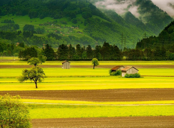 Imagem Terreno à Venda, 5.000 m² em Linha São Pedro - Três Marias Imagem Terreno à Venda, 5.000 m² em Linha São Pedro - Três Marias