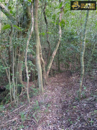 Imagem Imóvel com 1 Quarto à Venda, 20.000 m² em Cascata - Pelotas Imagem Imóvel com 1 Quarto à Venda, 20.000 m² em Cascata - Pelotas