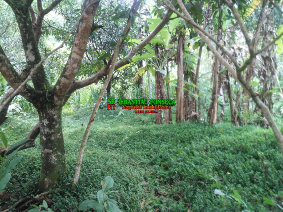 Chácara à Venda, 5.000 m² em Centro - Monteiro Lobato