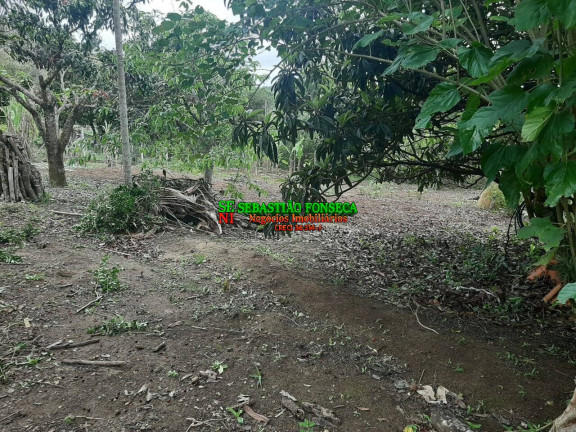Imagem Chácara com 3 Quartos à Venda, 2.300 m² em Sob. Consulta - Paraibuna Imagem Chácara com 3 Quartos à Venda, 2.300 m² em Sob. Consulta - Paraibuna