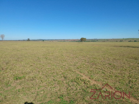 Fazenda à Venda, 203.280.000 m² em Presidente Venceslau