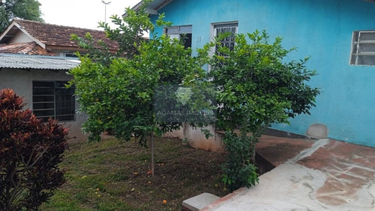 Casa com 2 Quartos para Alugar, 80 m² em Jardim Alegre - Telêmaco Borba