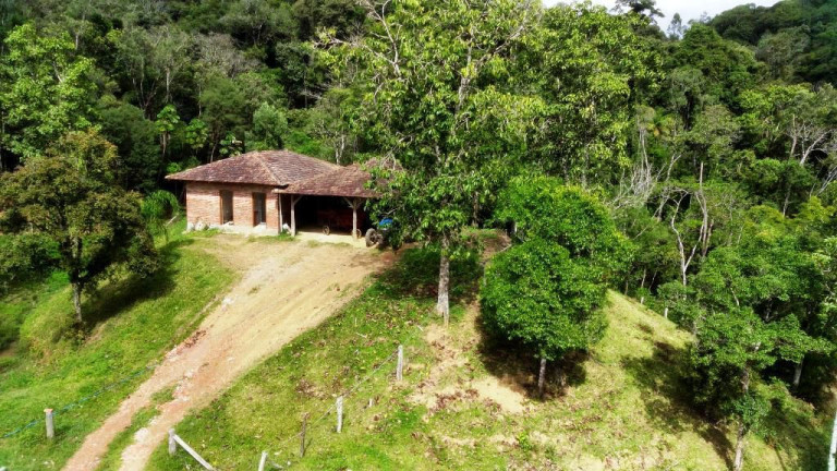 Imagem Imóvel com 6 Quartos à Venda, 250.000 m² em Zona Rural - Apiúna