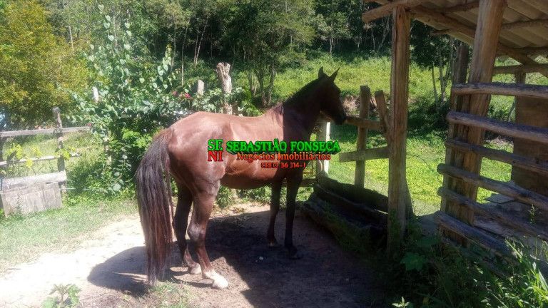 Imagem Chácara à Venda, 33 m² em Sob Consulta - Redenção Da Serra Imagem Chácara à Venda, 33 m² em Sob Consulta - Redenção Da Serra