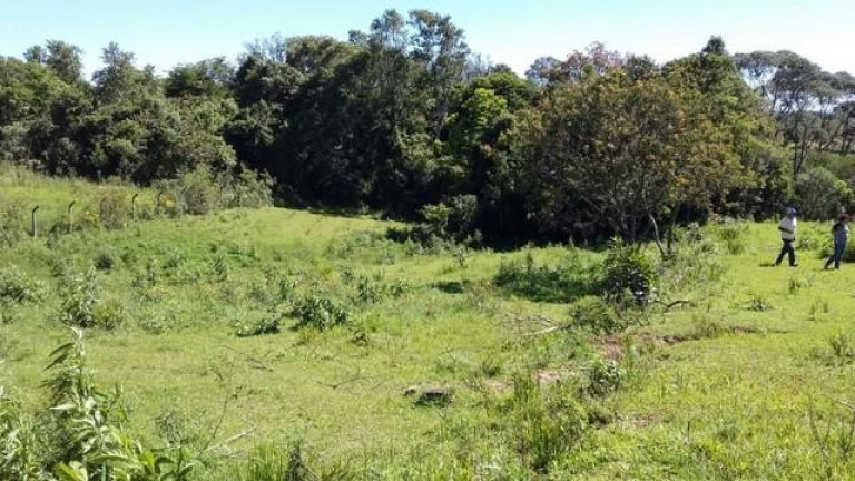 Imagem Imóvel com 4 Quartos à Venda, 300 m² em Dom Pedro - Campo Magro