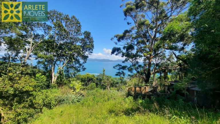 Imagem Terreno à Venda, 5.520 m² em Araça - Porto Belo Imagem Terreno à Venda, 5.520 m² em Araça - Porto Belo