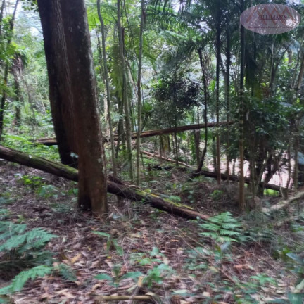 Imagem Terreno à Venda, 3.504 m² em Represa - Ribeirão Pires Imagem Terreno à Venda, 3.504 m² em Represa - Ribeirão Pires