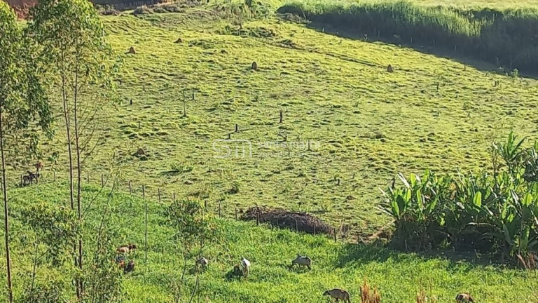 Imagem Imóvel com 2 Quartos à Venda, 266.000 m² em Branco - Lavrinhas
